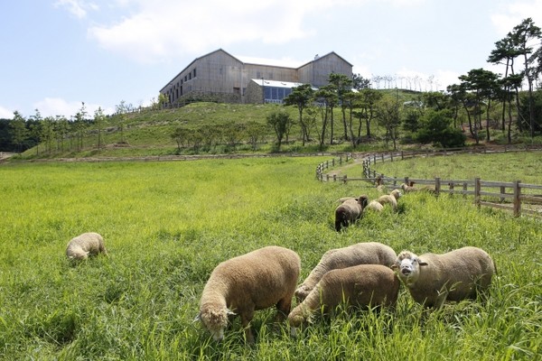 매일유업은 전라북도 고창군에 상하농원을 운영하며 친환경 기업의 이미지를 구축해 왔다. 사진=매일유업