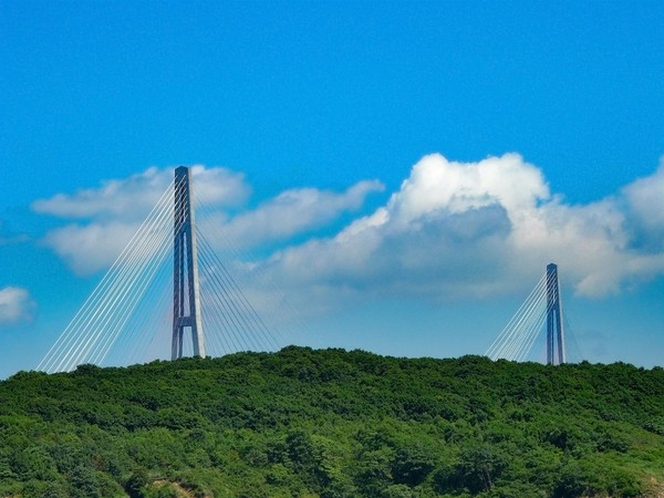 사진 = 픽사베이 