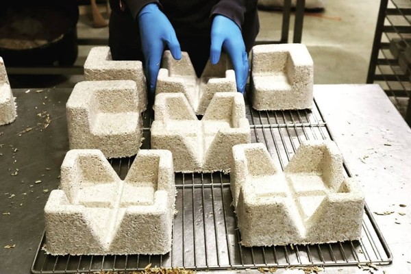 버섯으로 만든 친환경 스티로폼. 사진=에코베이티브 디자인