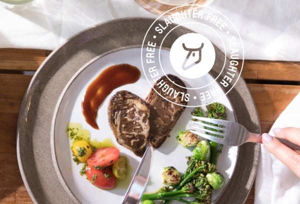 실험실에서 배양된 소고기. 사진= Aleph Farms