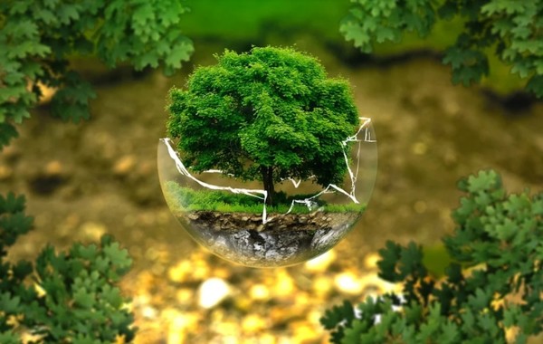 한국ESG연구소가 국내 주요 그룹 소속 상장기업 중심의 ‘지속가능경영보고서 발간 현황 및 CEO 메시지 분석’ 보고서를 발표했다. 사진=픽사베이