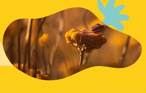 록시땅 그룹이 마르세유 IUCN 총회를 방문해 '자연에 긍정적인 생물다양성' 전략을 발표했다. 사진=록시땅 그룹