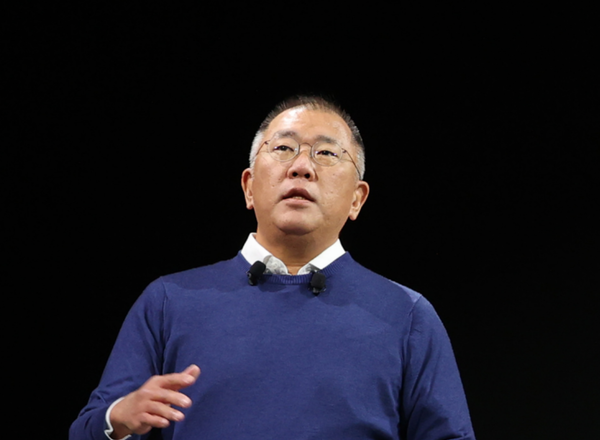 정의선 현대차그룹 회장의 지배구조 개편 작업이 지연될 전망이다. 사진=연합뉴스