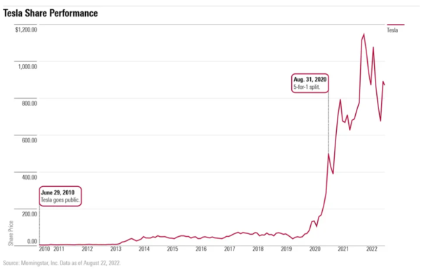 테슬라 주가 추이. 그래프=모닝스타