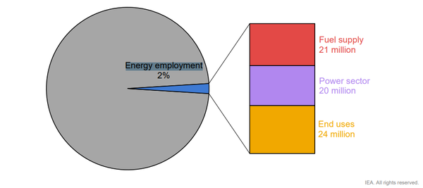 2019년 에너지 부문 고용현황. 자료=IEA
