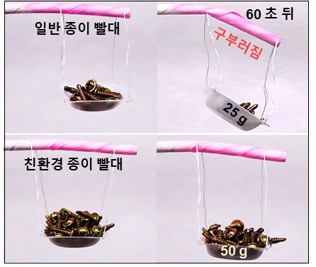 한국화학연구원이 개발한 종이빨대를 찬물에 1분간 담궈 눅눅해지는 정도를 실험해본 결과, 기존 종이 빨대보다 내수성이 훨씬 강한 것으로 나타났다.  (사진=한국화학연구원)