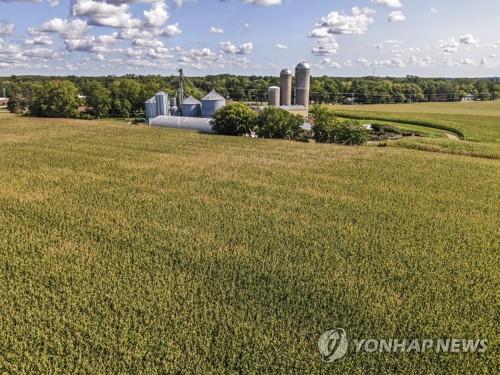 미국 위스콘신주의 옥수수 경작지. 사진=EPA 연합뉴스