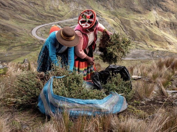 바이탈 임팩트가 진행한 환경 사진작가 지원금 프로그램에서 멕시코 작가 무숙 놀테와 미국 작가 테일리르 어바인이 수상자로 선정됐다.  [사진=무숙 놀테]