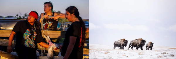 테일리르 어바인은 美대륙의  소수부족이 겪는 갈등을 시각적으로 잘 표현하는 작가다. [사진=테일리르 어바인]