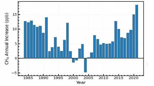 메탄은 온실가스에 인한 온난화 피해가 이산화탄소 20배에 이르지만 대기 체류기간이 매우 짧아 화석연료의 절감으로 효과적으로 줄일 수 있다. 하지만 전 세계 메탄 농도는 매년 급증하고 있다. 그래프는 1983년부터 2021년까지 전 지구 연간 메탄 증가율. (그래픽=세계기상기구 제공)