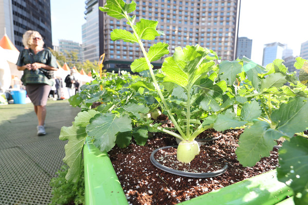 2022 서울도시농업박람회에 선보인 잘 자란 농산물의 모습. 사진=연합뉴스