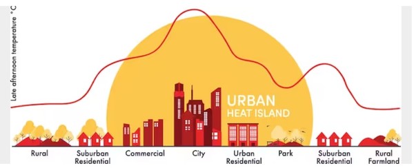 도시열섬 현상에 대한 개요 그래픽 (자료=세계기상기구)