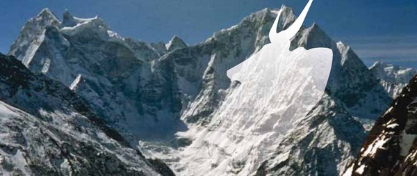 축산업은 전체 산업계 가운데 온실가스를 가장 많이 배출하는 산업으로 지목돼 왔다. 소는 특히 가축 가운데 단연 온실가스 배출량이 많아 환경단체의 경계 대상으로 지목돼 왔다. 이런 상황에서 우리나라에서 저탄소 소고기의 인증제도 도입은 이런 우려를 완화시키는 역할을 할 것으로 보인다. 사진은 FAO가 발행한 '축산업의 그늘' 보고서 중 '축산업과 온실가스'의 표지 사진