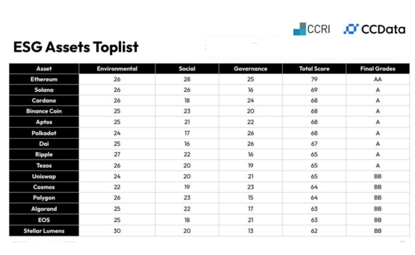 출처: 씨씨데이터