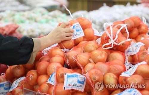 프리바이오틱스가 많아 하루 반 개 정도 섭취하면 몸에 좋은 양파의 모습. 사진=연합뉴스