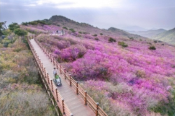 2021년 열린관광지로 선정된 대구 비슬산 군립공원