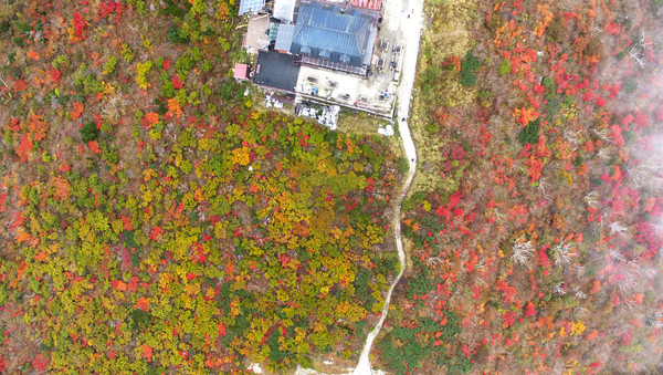 울긋불긋한 단풍으로 물든 설악산의 아름다운 풍광. 사진=연합뉴스