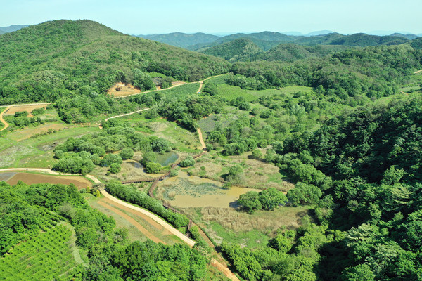 문경 돌리네 습지의 모습. 사진=경북도 제공