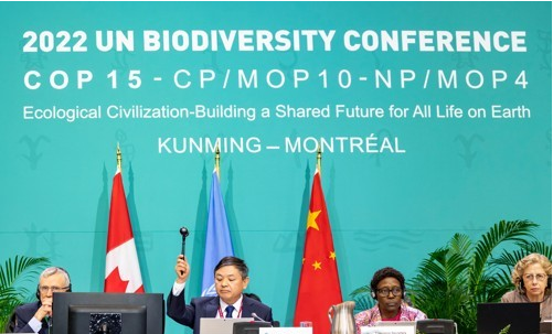 지난해 12월 캐나다 몬트리올에서 열린 제15차 생물다양성 당사국 총회(COP-15) 모습. 로이터=연합