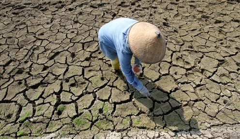 7월 24일(현지시간) 인도네시아 중부자바주 보욜랄리 지역에서 한 농부가 메마른 땅에 옥수수 씨앗을 심고 있다. 지난 4일 세계기상기구(WMO)는 엘니뇨 현상으로 인도네시아와 남아시아 일부에 가뭄이 발생할 수 있다고 경고했다. 신화=연합