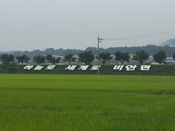 대구경북신공항에 대한 희망과 염원을 담은 의성군 비안면의 슬로건. 사진=ESG경제