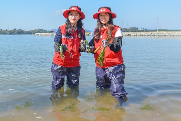 여수 대경도 인근에서 잘피를 심는 LG화학 임직원들. 사진=LG화학 제공