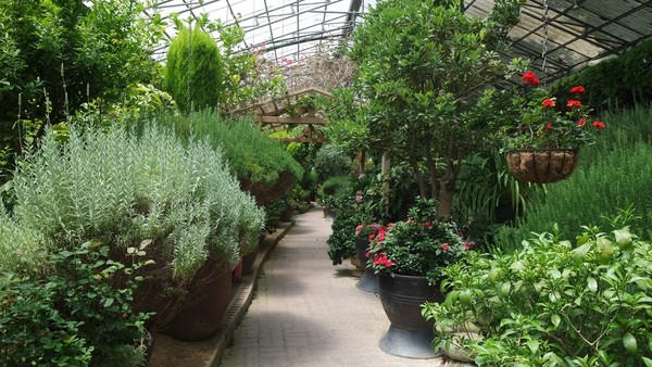 포천 허브아일랜드 식물박물관 모습. 사진=연합뉴스