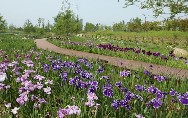 세종시민이 즐겨 찾고 사랑하는 국립세종수목원. 사진=국립세종수목원 제공