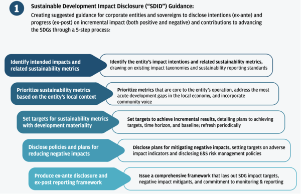 SDID 가이드라인의 5단계 프로세스(출처= IDT)