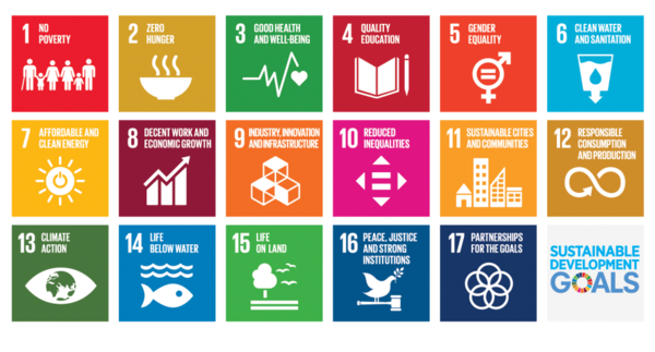 UN 지속가능발전 목표(UN SDGs). 빈곤퇴치와 불평등 감소 등 17개의 목표와 169개의 세부 목표로 구성돼있다. 제공=UN공식홈페이지