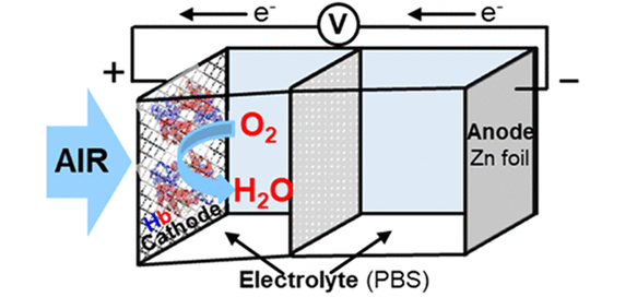 출처: 코르도바 대학 연구진이 쓴 논문이 실린 Energy & Fuels