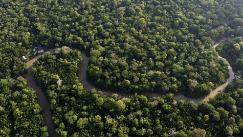 브라질의 아마존 밀림 전경. AP=연합