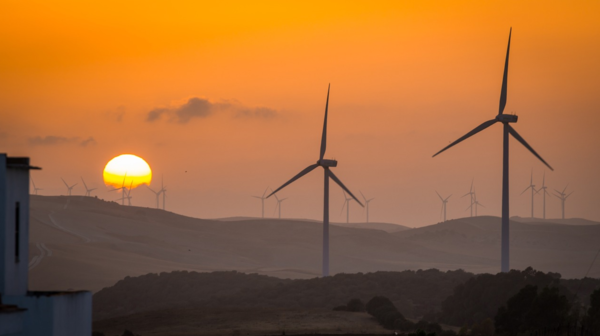ESG는 제품에 비교하면 과연 필수품일까, 아니면 사치품일까? 사진=픽사베이 제공