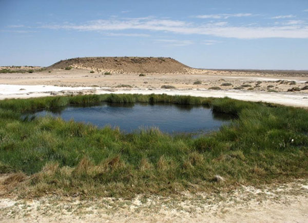 호주 남부의 버블러 샘('The Bubbler’ spring). 출처=호주정부사이트