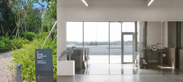 (왼쪽)아이엠팩토리 공장 초입 아파트 재개발 단지 등에서 폐목된 나무들을 옮겨심은 작은 숲. (오른쪽) 공장 내부 4층에 조성된 유기견 임시 보호 공간. (사진=ESG경제, 수퍼빈 제공)