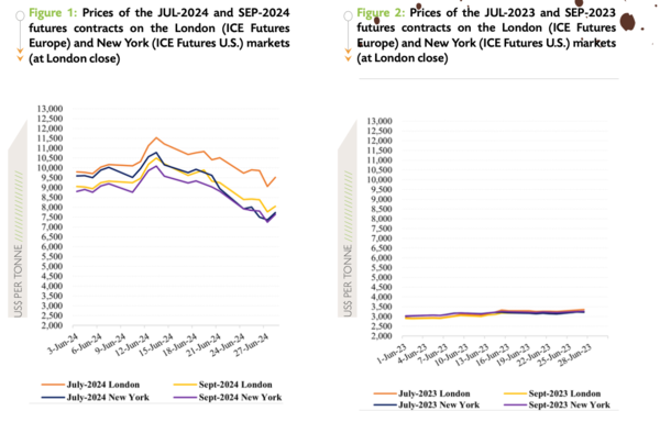 올해 6월(좌)과 지난해 동기간(우) 카카오 선물 가격 동향. ICCO 보고서 발췌
