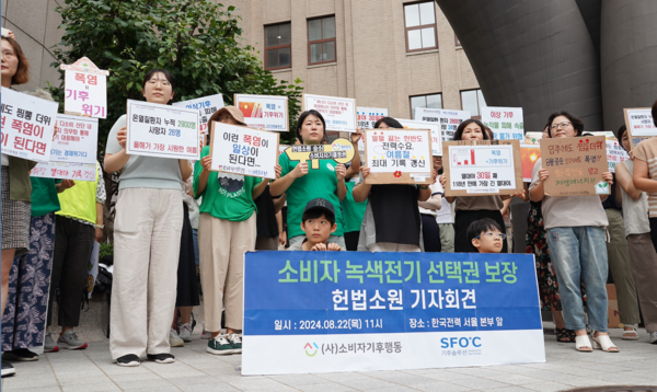 일반용, 산업용 전력 소비자인 기업만 재생에너지 전력을 선택해 구매할 수 있는 현행 전력거래계약 규정이 주택용 전력소비자의 기본권을 침해한다며 전력소비자 41인이 22일 헌법재판소에 헌법소원을 청구했다. (사진=기후솔루션)