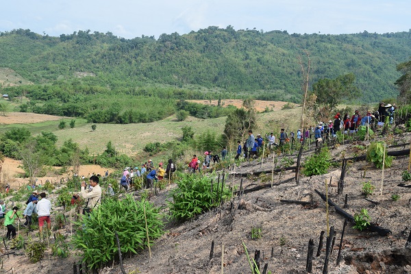 라오스 식목일 행사.  사진=아시아산림협력기구