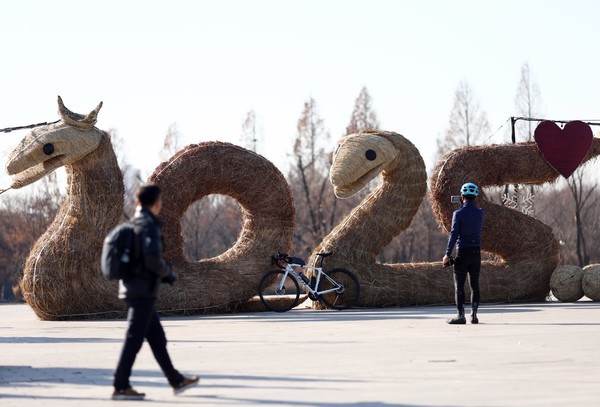 ‘푸른 뱀의 해’인 을사년(乙巳年)을 앞둔 29일 서울 상암동 월드컵공원에 ‘2025’ 글자 모양의 억새로 만든 조형물(억새뱀 부부)이 설치돼 있다. [연합뉴스]