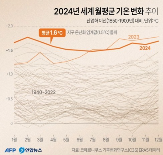 그래프=연합뉴스