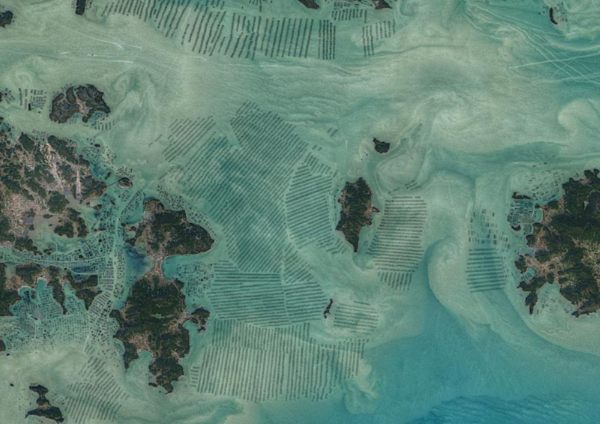 2021년 미 항공우주국(NASA)에서 촬영해 공개한 전남 해안지역의 해조류 양식장. 