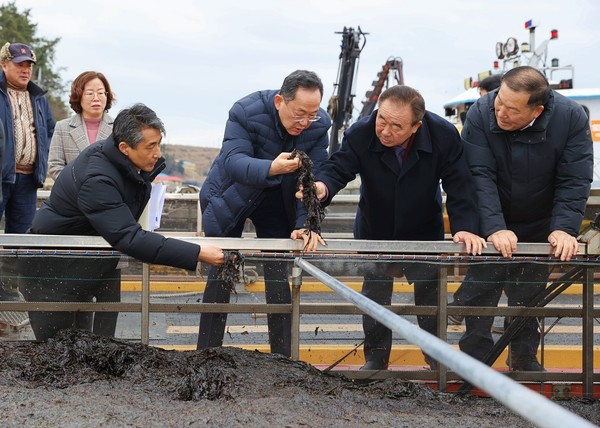 지난달 31일 명현관 전남 해남군수가 화산면 구성리 김 위판장을 방문, 물김 위판 사항을 현장 점검하고 있다. [해남군 제공]