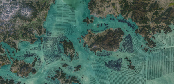 2021년 미 항공우주국(NASA)에서 촬영해 공개한 전남 해안지역의 해조류 양식장. 