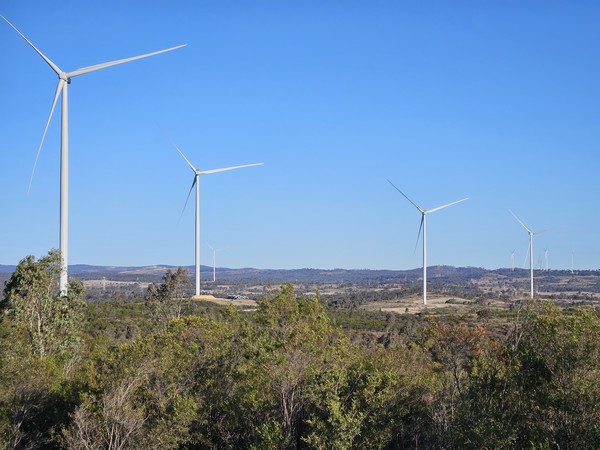 고려아연의 호주 자회사 아크에너지가 지분 투자한 맥킨타이어 풍력발전소 전경.  사진=고려아연