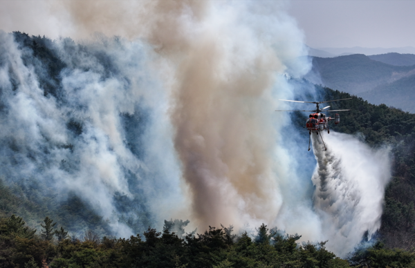 23일 경북 의성군 산불 발화지점 인근 야산에서 산림청 헬기가 산불 진화를 하고 있다. 사진=연합뉴스