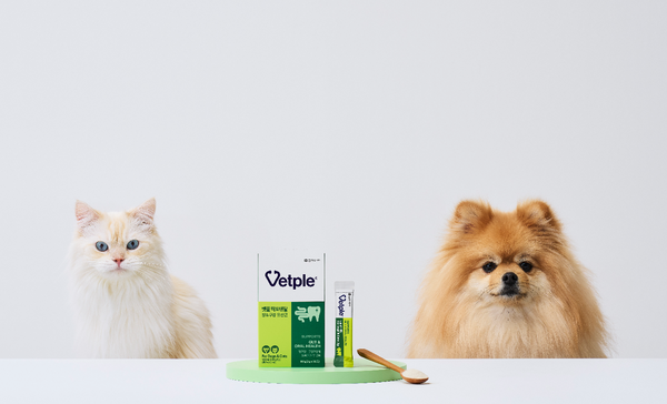 동아제약이 출시한 반려동물 장, 구강 건강 유산균 '벳플 락토덴탈'.  사진=동아제약