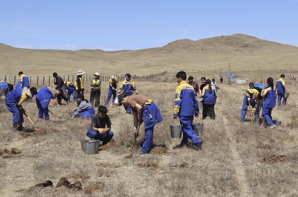 KT&G 나무 심기 활동 모습.   사진=KT&G