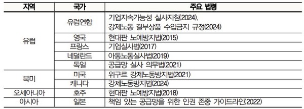 각국의 인권 실사 관련 법령. 제공=대한상의