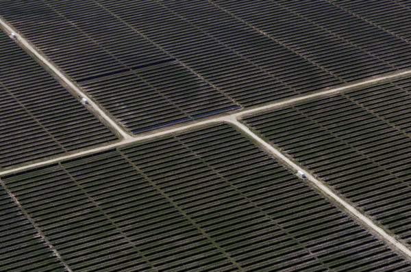 2025년 4월 미국 텍사스주 앤슨(Anson)에 위치한 태양광 발전소에서 태양광 패널이 줄지어 설치된 모습. 로이터=연합뉴스