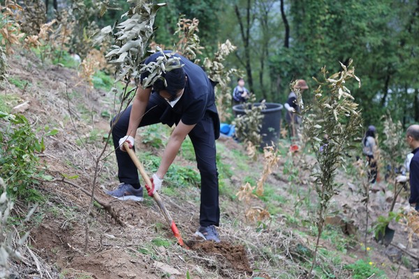 DL이앤씨 직원들이 서울 마포구 노을공원을 찾아 도토리 묘목을 심고 있다. 사진=DL이앤씨